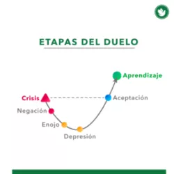 duelo fases