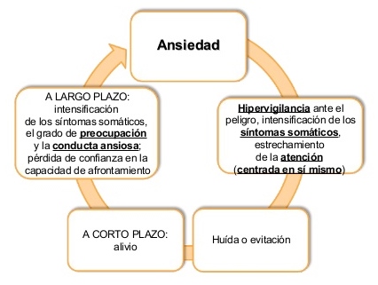 circulo ansiedad